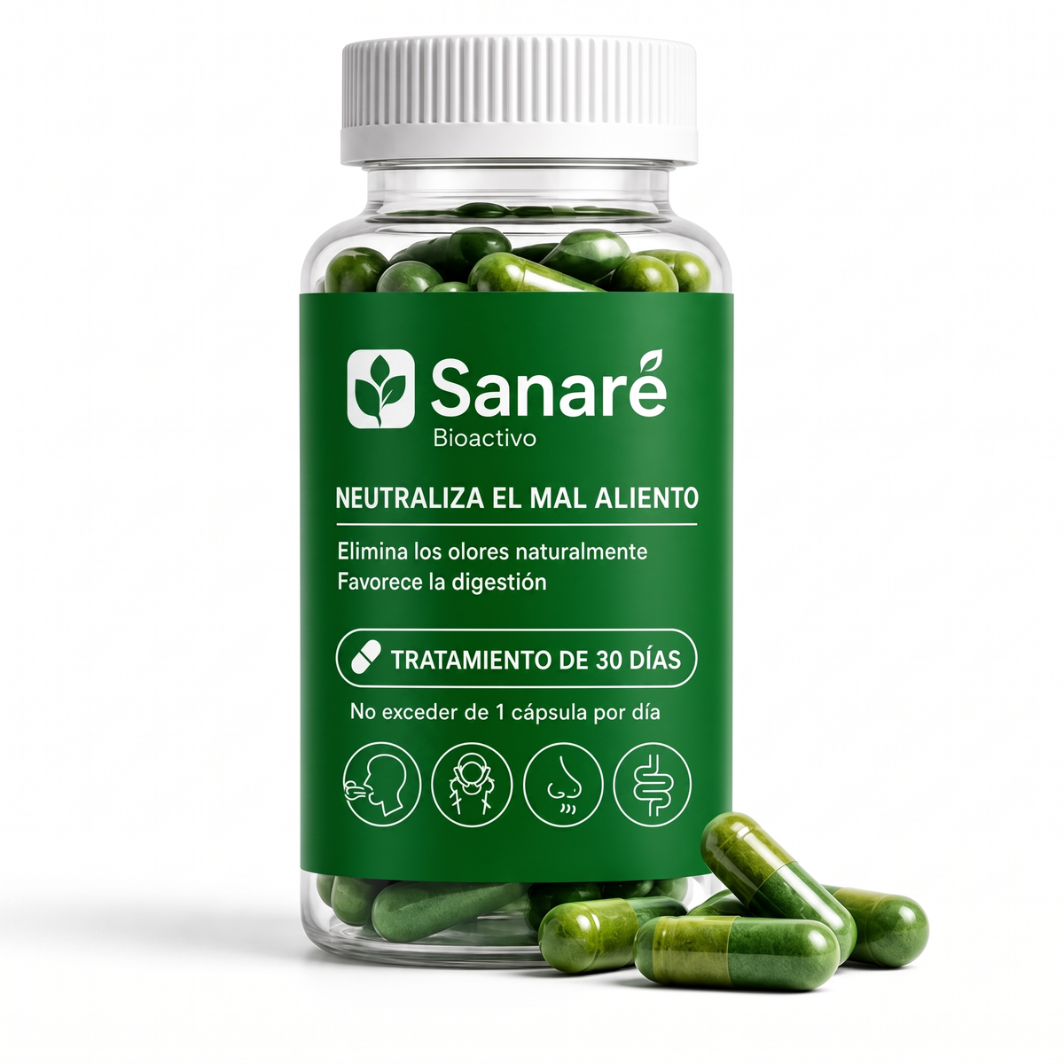 sa-b2-bundle-1