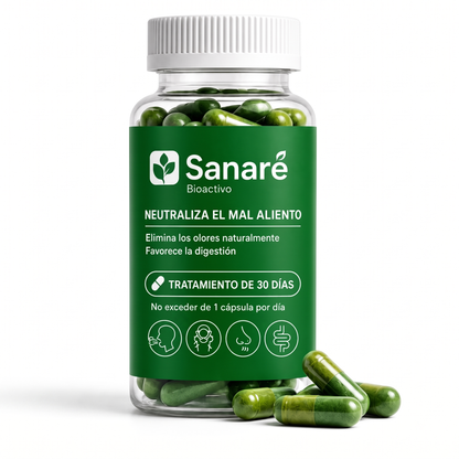 sa-b2-bundle-1