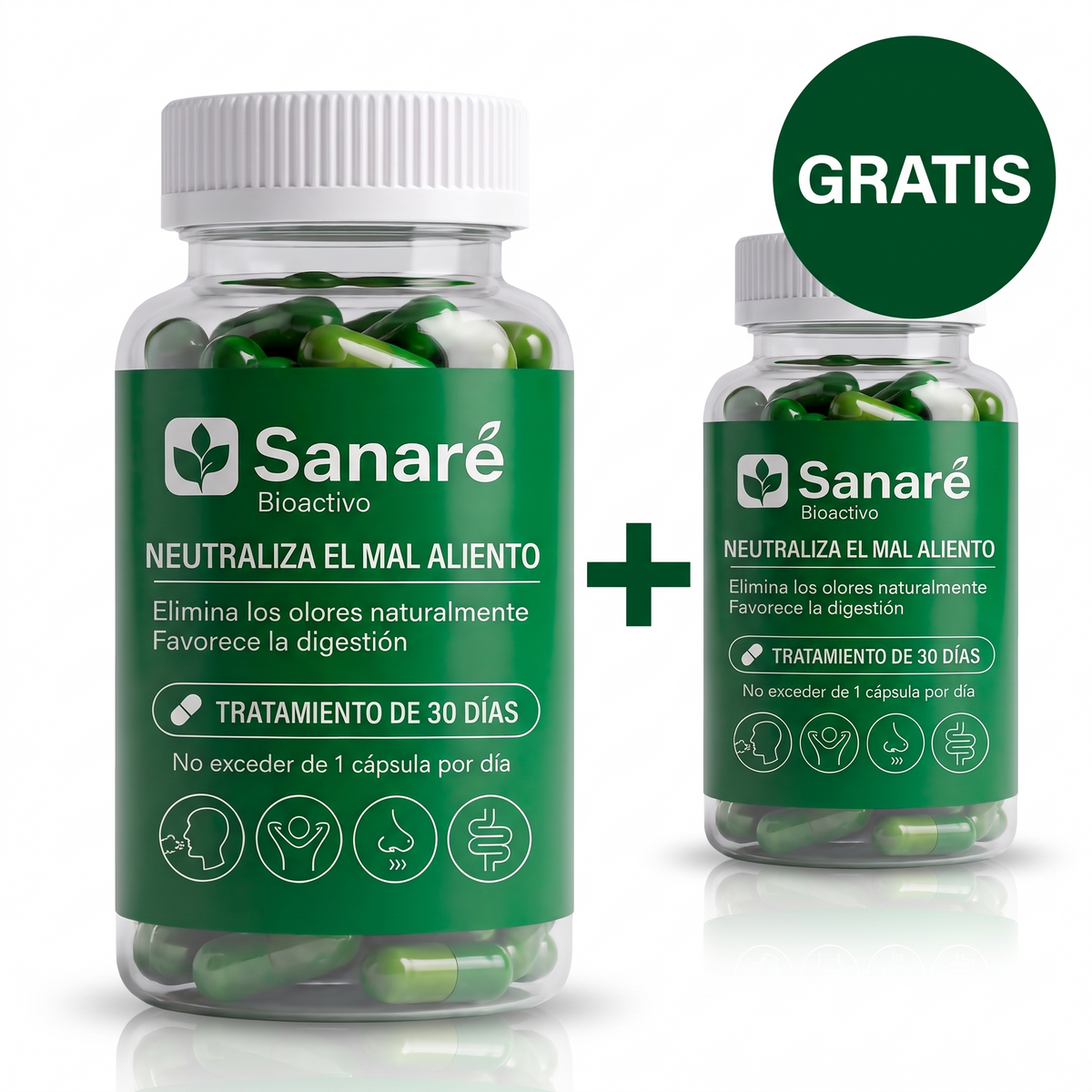 sa-b2-bundle-2