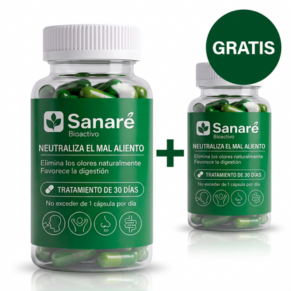 sa-b2-bundle-2
