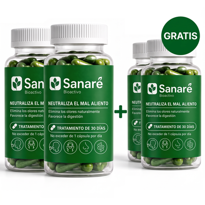 sa-b2-bundle-3