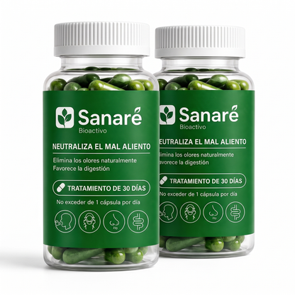 sa-bundle-2-viejo