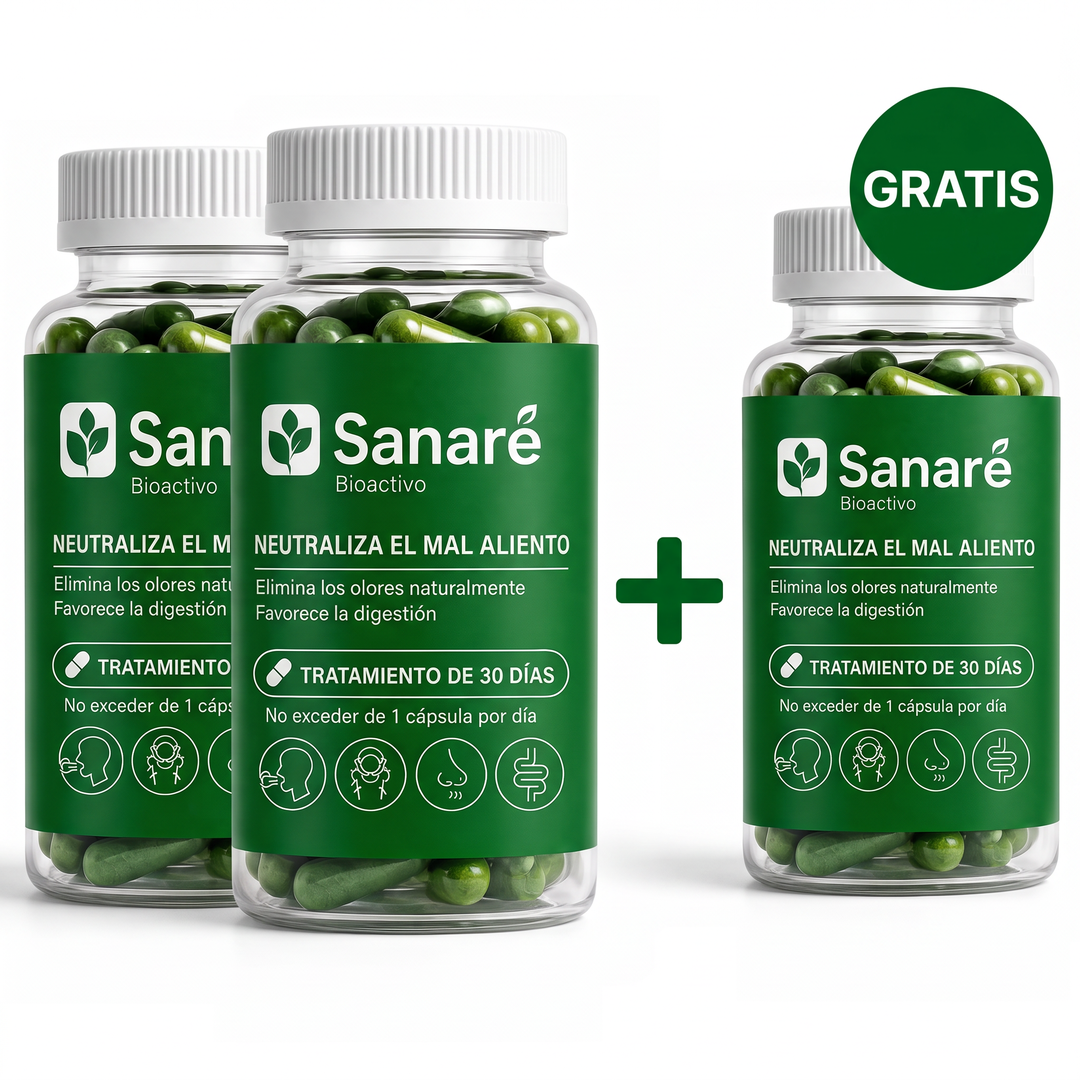 sa-bundle-2